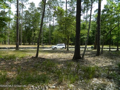 The Sanctuary, Diamondhead's newest area for you custom home - photo 6