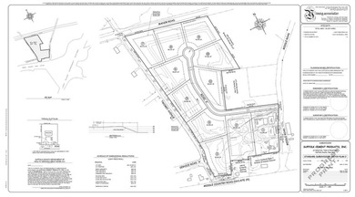 THE PRICE FOR THE 26.50 ACRES IN A SUBDIVISION FORMAT OF 11 LOTS - photo 3