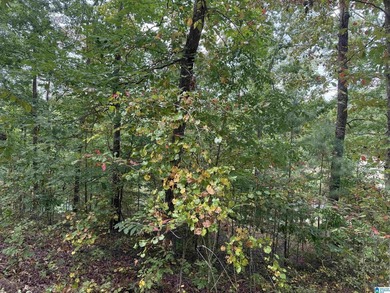 This is the perfect spot to build your dream cabin or bring your - photo 4