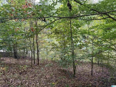 This is the perfect spot to build your dream cabin or bring your - photo 5