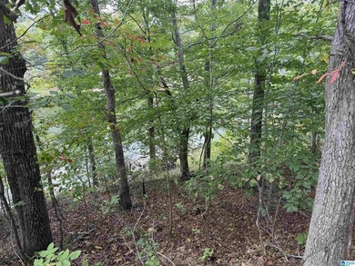 This is the perfect spot to build your dream cabin or bring your - photo 6