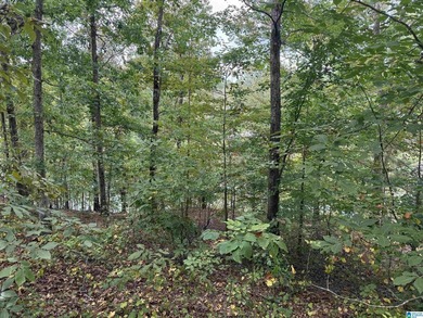 This is the perfect spot to build your dream cabin or bring your - photo 7