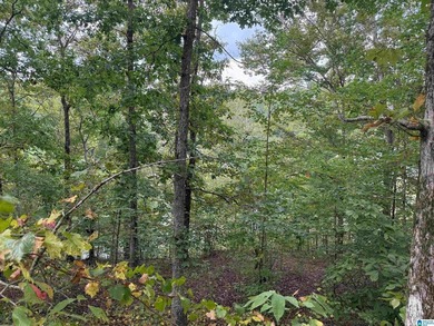 This is the perfect spot to build your dream cabin or bring your - photo 8
