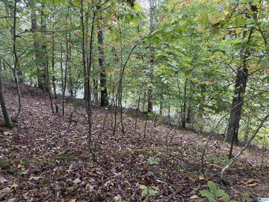 This is the perfect spot to build your dream cabin or bring your - photo 9