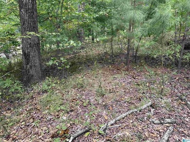 This is the perfect spot to build your dream cabin or bring your - photo 10