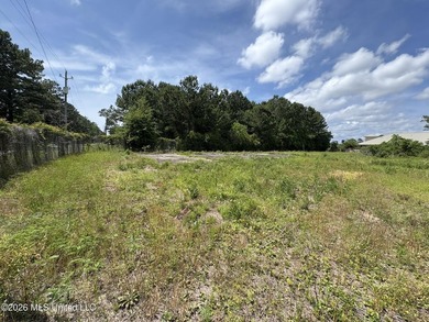 Approximately 2-acre parcel located on Franklin Road in Ocean - photo 2