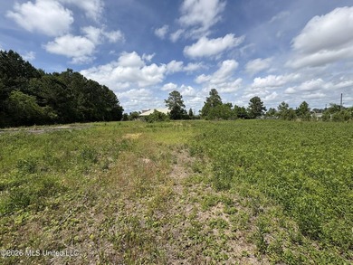 Approximately 2-acre parcel located on Franklin Road in Ocean - photo 3