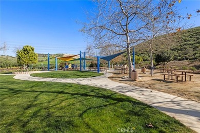 31891 Paseo Navarra - photo 46