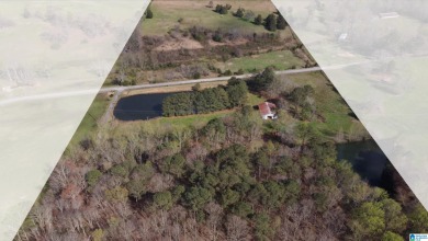 (private lake, pond, creek) Home For Sale in Blountsville Alabama