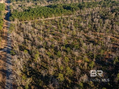This versatile unzoned waterfront tract on the Bon Secour River - photo 11