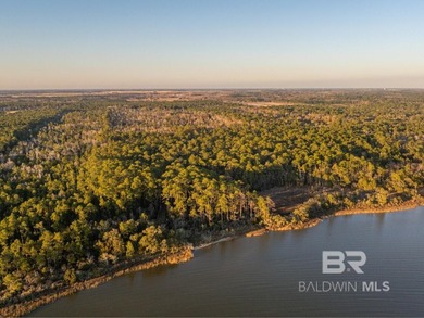 This versatile unzoned waterfront tract on the Bon Secour River - photo 12