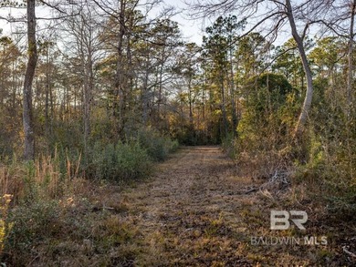 This versatile unzoned waterfront tract on the Bon Secour River - photo 13