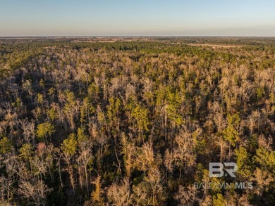 This versatile unzoned waterfront tract on the Bon Secour River - photo 14