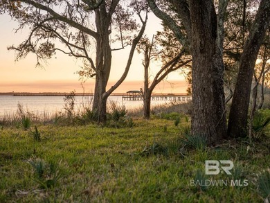This versatile unzoned waterfront tract on the Bon Secour River - photo 15