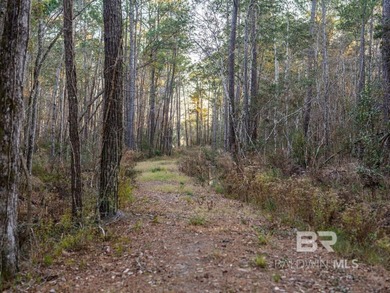 This versatile unzoned waterfront tract on the Bon Secour River - photo 16