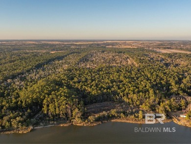 This versatile unzoned waterfront tract on the Bon Secour River - photo 17