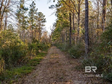 This versatile unzoned waterfront tract on the Bon Secour River - photo 18