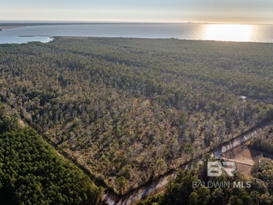 This versatile unzoned waterfront tract on the Bon Secour River - photo 19