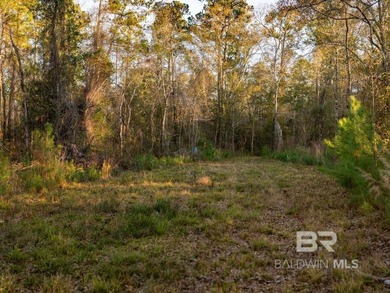 This versatile unzoned waterfront tract on the Bon Secour River - photo 20