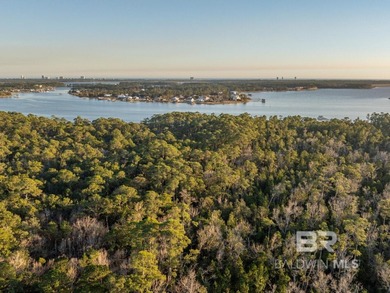 This versatile unzoned waterfront tract on the Bon Secour River - photo 21
