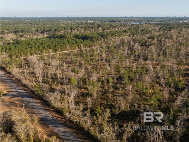 This versatile unzoned waterfront tract on the Bon Secour River - photo 22