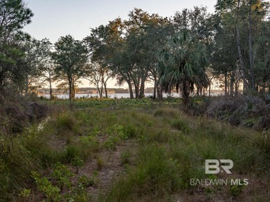 This versatile unzoned waterfront tract on the Bon Secour River - photo 23