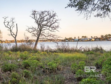 This versatile unzoned waterfront tract on the Bon Secour River - photo 24