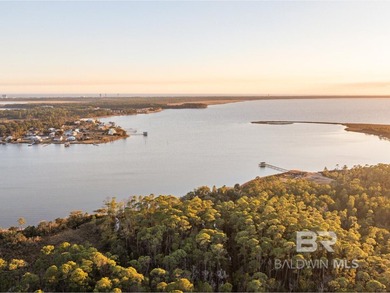 This versatile unzoned waterfront tract on the Bon Secour River - photo 25