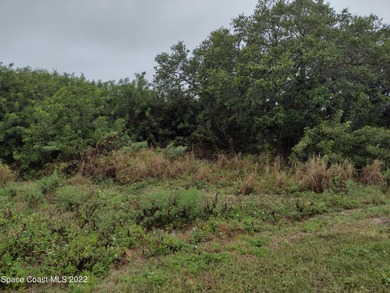 Looking to build in Cape Canaveral. Here is your opportunity for - photo 6