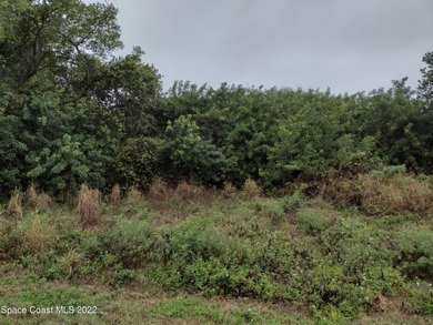 Looking to build in Cape Canaveral. Here is your opportunity for - photo 7