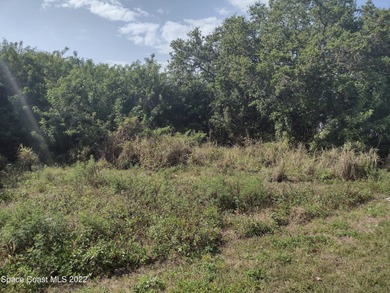 Looking to build in Cape Canaveral. Here is your opportunity for - photo 8