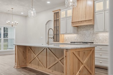 Brand new construction on 1.53 acres with Lake Hamilton access - photo 12
