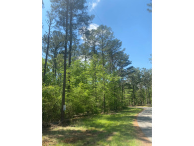 Little Tallapoosa River Lot For Sale in Wedowee Alabama