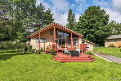 Lake Victoria Home For Sale in Victor Township Michigan
