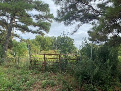 Lake Lot For Sale in Kemp, Texas