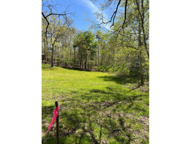 Lake Hiwassee Lot For Sale in Murphy North Carolina