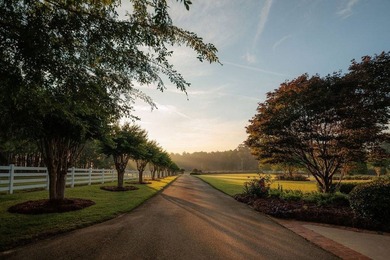 Amazing Grace is a turnkey luxury equestrian estate where every - photo 6