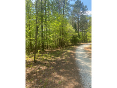 Little Tallapoosa River Lot For Sale in Wedowee Alabama