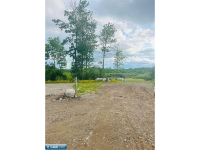 Lake Lot For Sale in Tower, Minnesota
