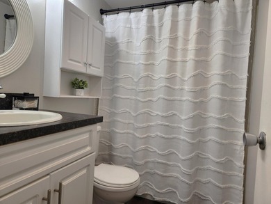 Gorgeous renovated 1 bed 1 bath located in the lovely Andover - photo 11