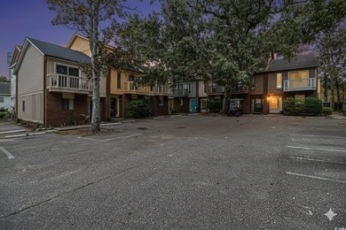 Experience a relaxed coastal lifestyle in this fully furnished - photo 16
