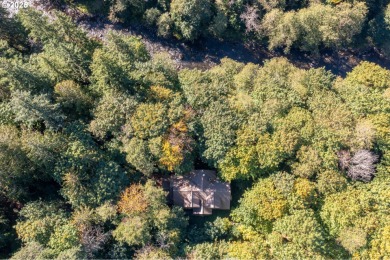 Lake Home For Sale in Welches, Oregon