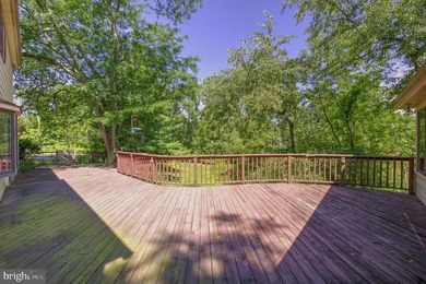 Wonderful opportunity to own on Horseshoe Rd. Great bones and so - photo 48