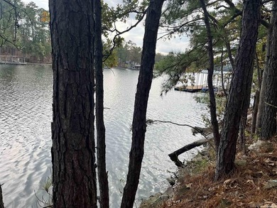 Are you looking for a lake front property that's out of city - photo 3