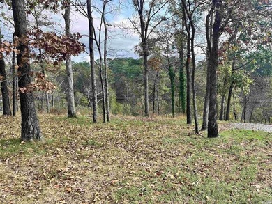Are you looking for a lake front property that's out of city - photo 8
