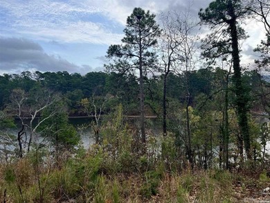 Are you looking for a lake front property that's out of city - photo 10