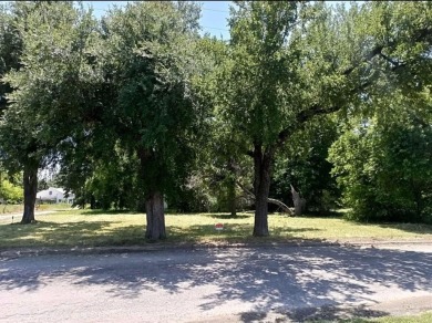 Lake Lot For Sale in Cooper, Texas