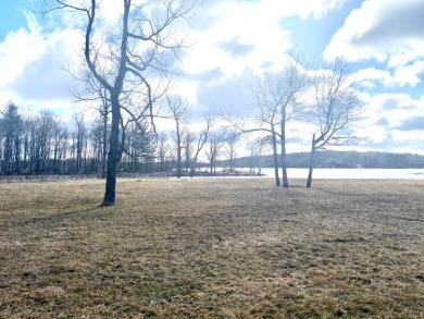 Lake Isabella Lot For Sale in Weidman Michigan