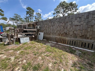 Situated on a half-acre homesite, this property offers - photo 12