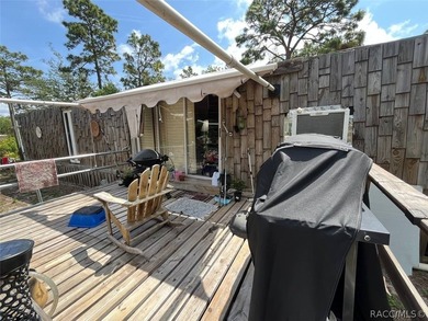 Situated on a half-acre homesite, this property offers - photo 15